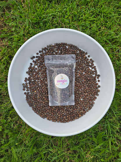 NEW! Sensory Scoop Base - Builders Base