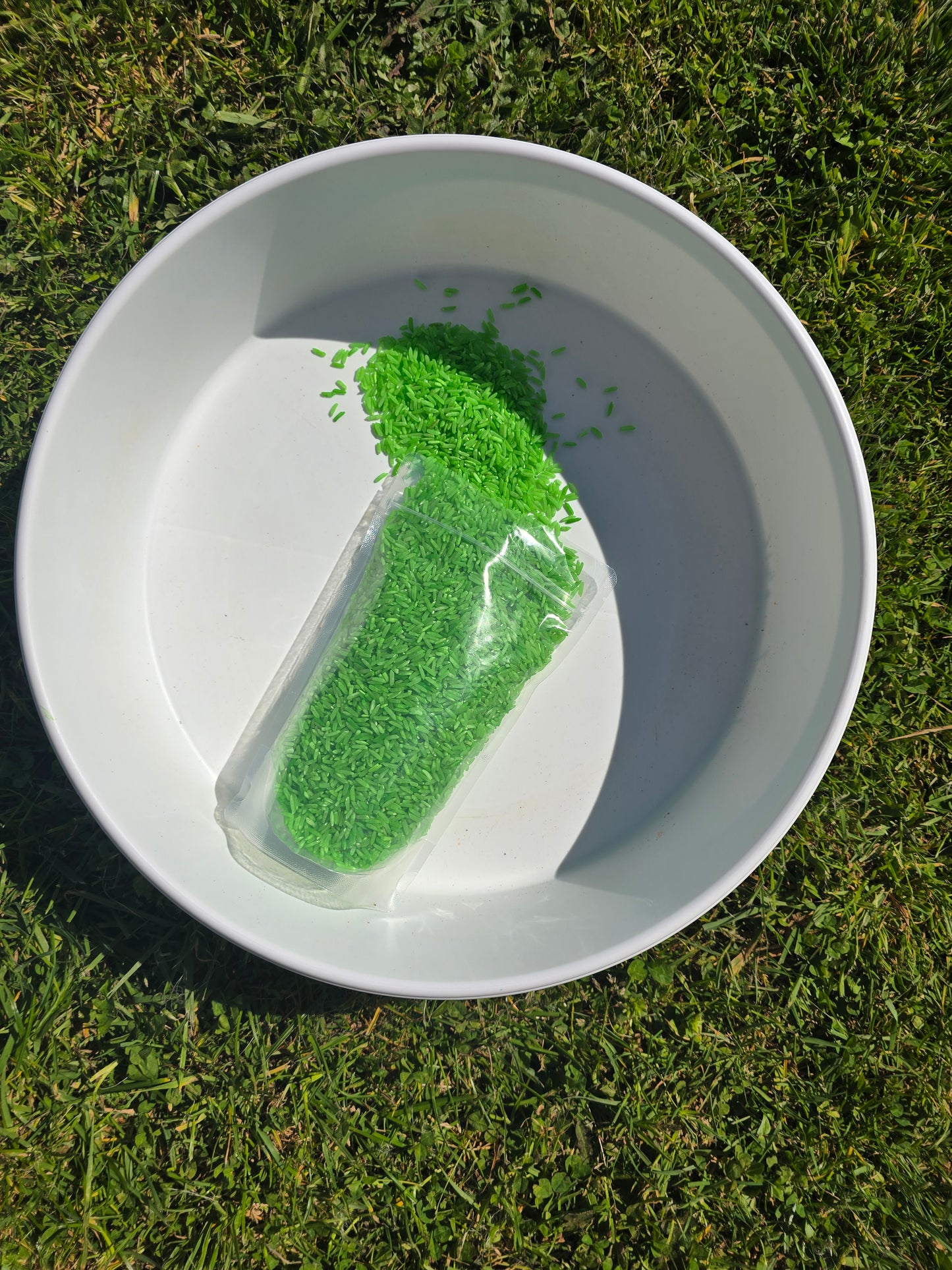 Sensory Rice - Green