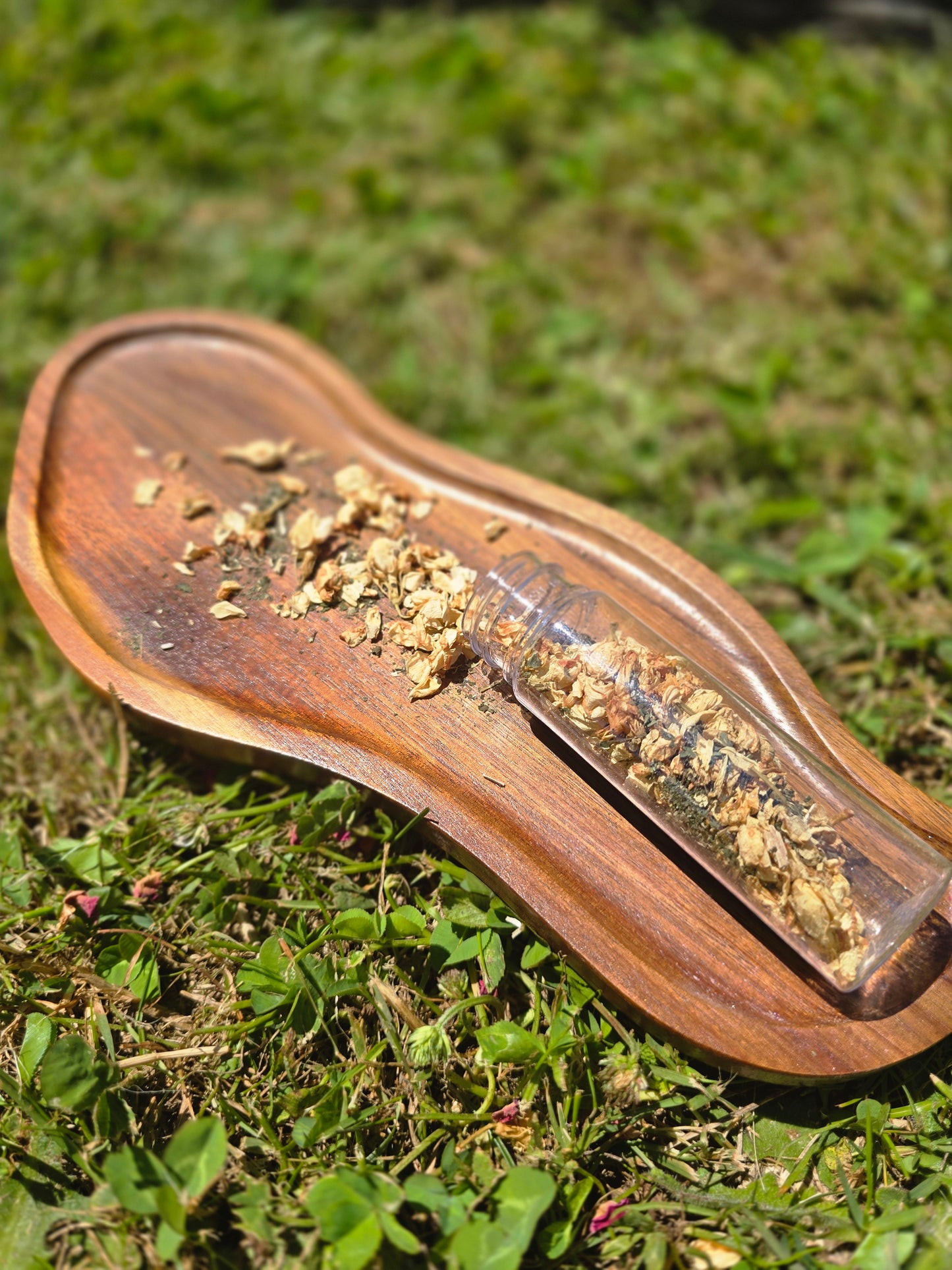 💐 The Flower Confetti Collection